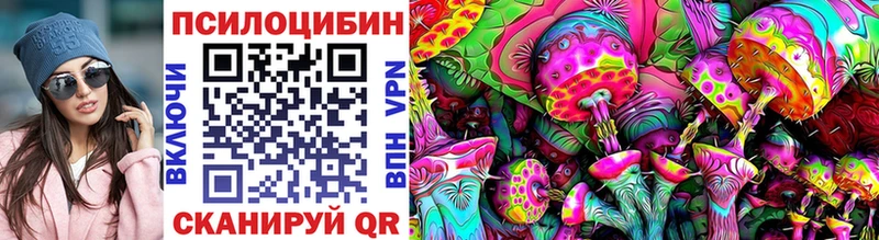 закладки Подольск Псилоцибиновые грибы Psilocybe
